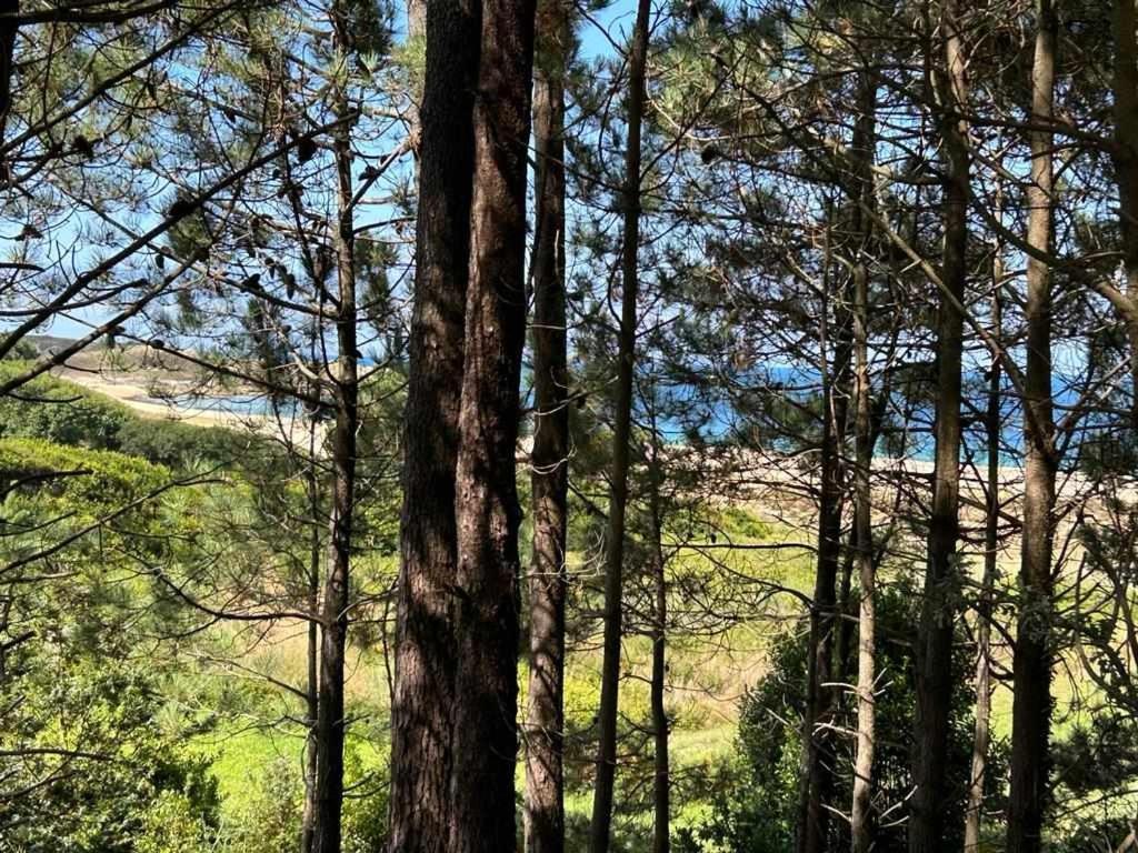 Apartamento Mar De Queiruga 12 Nadelas *